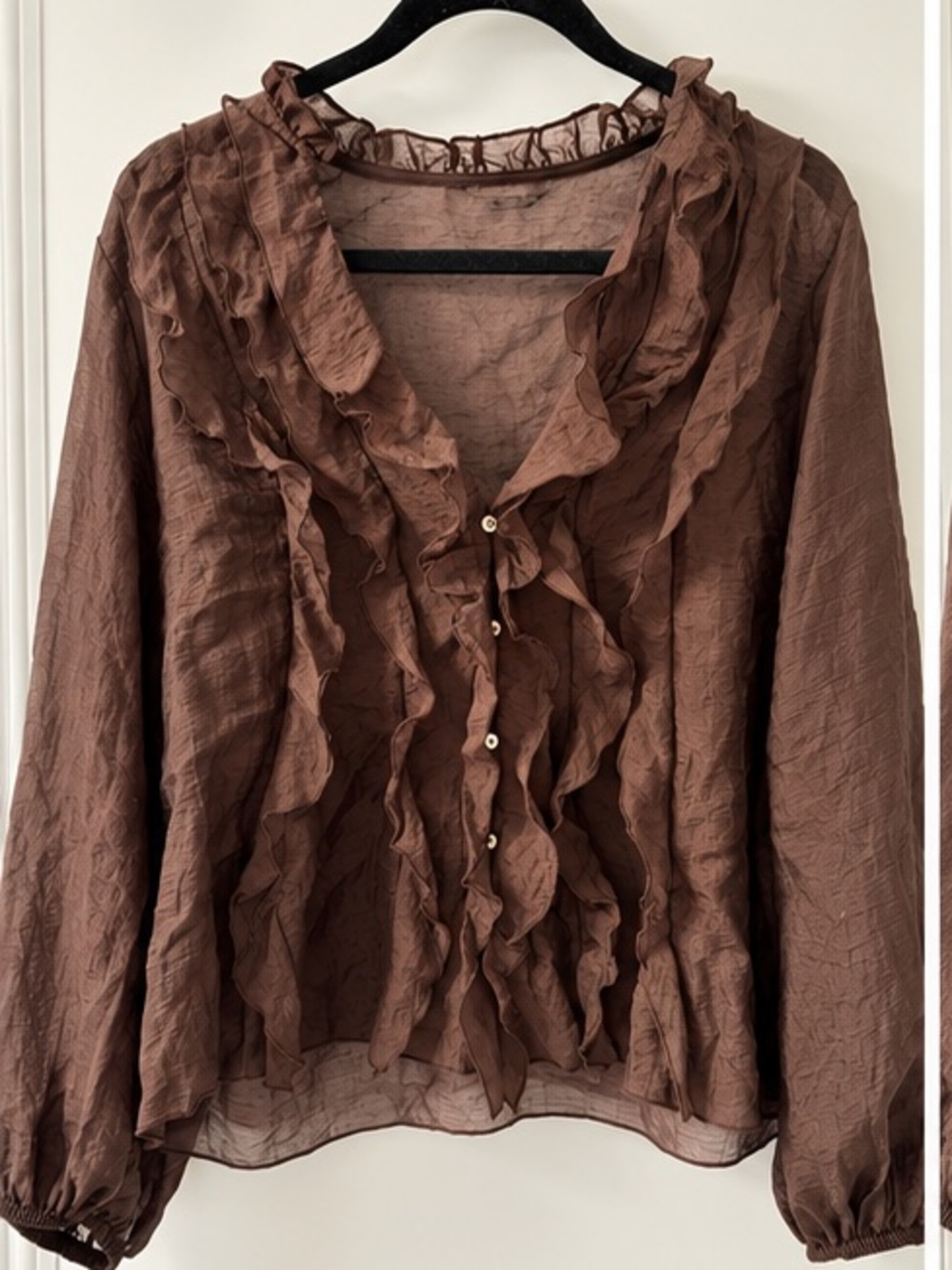ZARA Chocolate Brown Sheer Ruffle Blouse